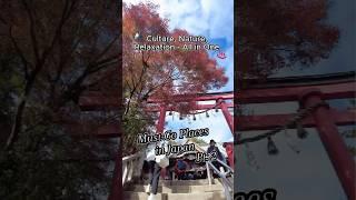  Mt. Takao  #高尾山 #japan #日本 #japantravel #traveltips #日本旅行 #takao #onsen #japanculture #温泉