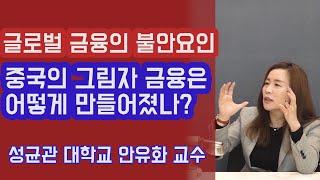 중국의 그림자 금융은 어떻게 만들어졌나? 글로벌 금융 시장의 불안 요인! 안유화 교수 | 815머니톡