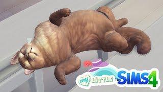 Типичный Симс - My Little Sims (Город)