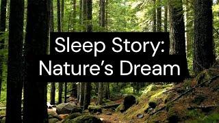 Sleep Story: Nature's Dream