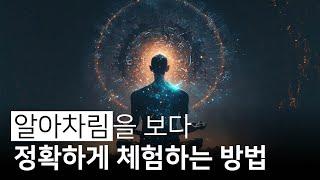 알아차림이 보다 정확해지고 한 단계 높아지는 방법 | 바로 이번 생에, 우빤디따