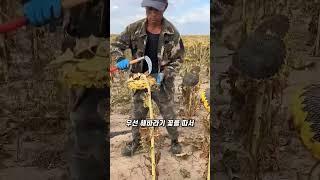 베트남 전통 기름 제조법