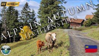 Alps in Autum in LIECHTENSTEIN | [4K UHD] | Alpen im Herbst