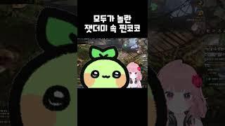 잿더미 속 찐코코