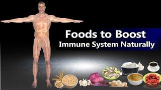 8 Foods to Boost Immune System Naturally | epainassist