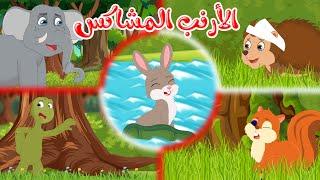 قصص وحكايات - قصص للأطفال - رسوم متحركة - قصص قبل النوم - قصة الأرنب المشاكس - Cartoon Stories