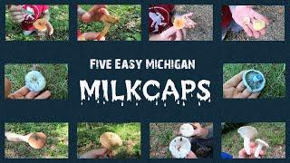 Five Easy Michigan Milkcaps