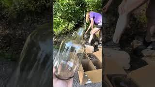 Edinburg Gap Spring | Fort Valley, Virginia | FREE PURE WATER