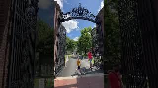 Harvard University Campus Tour