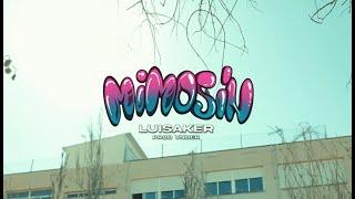 LUISAKER - MIMOSÍN