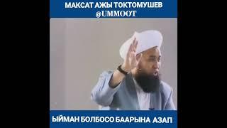 Максат ажы Токтомушев. Алла бизди азапташ учун жараткан жок