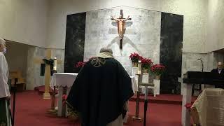 Our Lady of Grace Roman Catholic Church Sunday Mass 1/15