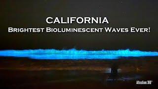 SURREAL Glowing Bioluminescent Waves Light Up California's Coast! Brightest Neon Waves since 2020