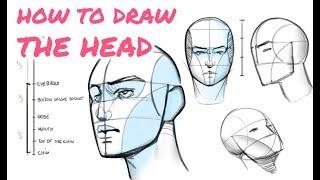  Learn to Draw the Head in Any Angle - Tutorial for Beginners