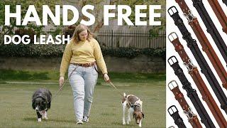 Best Dog Leash | BeltDog Leash System