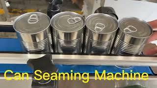 Automatic Can Seaming Machine,Dia73mm Tin Can Sealing Machine,Servo Can Seamer China Best Factory