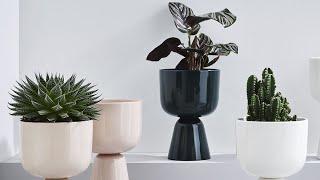 MACETAS EN TENDENCIA | UNA MACETA PARA CADA ESTILO| DECORA CON MACETEROS #homedecor #plants