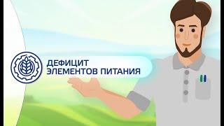 Дефицит элементов питания