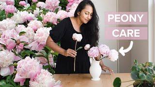 The Right Way To Make Peonies Last Longer