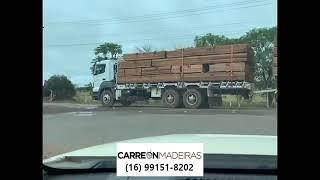 Carregamento de tábuas de cedrinho para fabricação de forro de cedrinho.