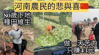 默默奉獻的中原農民，生活不易，感激常在。