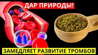 Замедляет Развитие Тромбов, Паразиты Выйдут Утром Бесплатный Дар Природы От Давления, Бронхита! Пью