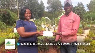 Goldenscape Greenhouses Pays