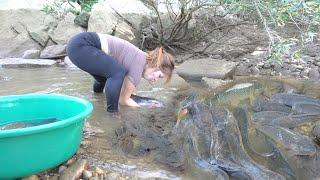 Amazing Fishing - Meet a Giant School Of Fish In The Lake, Harvesting Many Big Fish