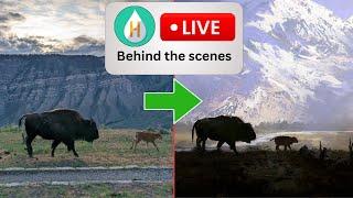 Live Chat & Nez Perce episode Behind the Scenes