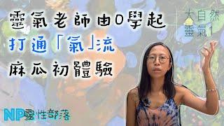 靈氣1】靈氣是怎樣的能力？麻瓜大自然中修習，第一次感受到能量