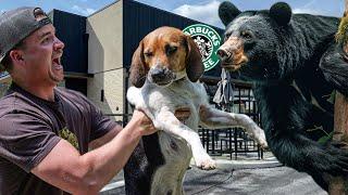 My dogs MADE HISTORY...Starbucks?