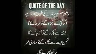 Urdu Quotes/ Islamic Status/ Urdu Thought #quotes #thoughts #shorts