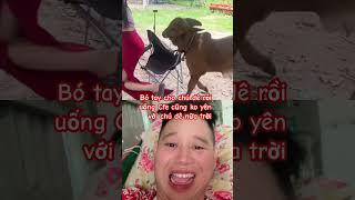 uống cfe cũng ko yên với chú dê nữa trời ơi bó tay rồi
