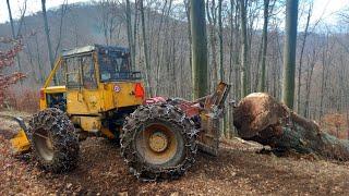 LKT 81 Turbo - Cesta pre najväčšieho z porastu . Stihl ms 500i, Stihl ms 462  malá pomoc od Mareka