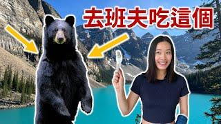 班夫 Banff | 加拿大最值得去的國家公園 | 超多野生動物