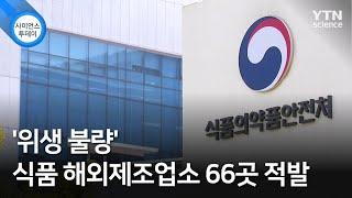 '위생 불량' 식품 해외제조업소 66곳 적발 / YTN 사이언스