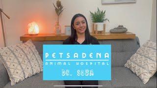 Meet Dr. Sosa at Petsadena Animal Hospital!