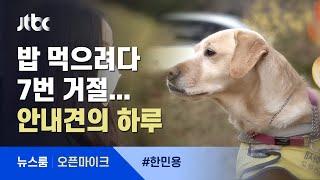 [오픈마이크] 시각장애인 안내견의 하루…"어딜 개가!" 밥 먹으려다 7번 거절 / JTBC 뉴스룸