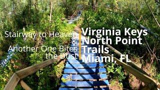 Stairway To Heaven & Another One Bites the Dust | Virginia Key North Point Trails | Miami, Florida