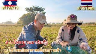 บ่าวไทยชวนมาจับกุ้งแต่เช้า ￼จะหมานไหมน้อ￼เพราะว่าช่วงนี้อากาศหนาวสุดสุด