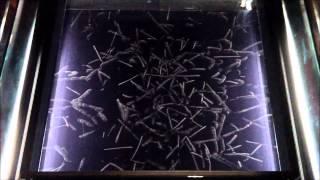 BIGGEST CLOUD CHAMBER (full HD) with radon gas - AMAZING!