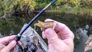 Fishing A Tiny Grasshopper Lure For Big Bass!