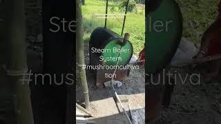 Mushroom substrate Pasteurization- Sterilization boiler system (www.bmmushroom.com) #mushroomfarming