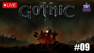 Walczi gra w: Gothic LIVE 9