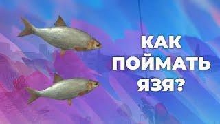 Как поймать ЯЗЯ в игре Ultimate Fishing Simulator? Основной способ!!!