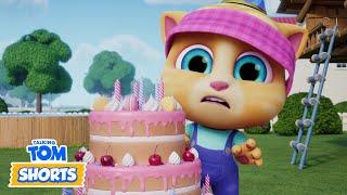 Where's the Birthday Cake?  Talking Tom Shorts (S3 Episode 30)