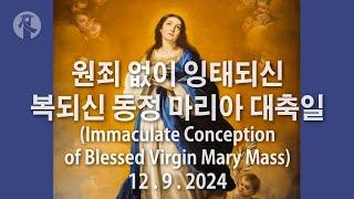 KMCC Solemnity of the Immaculate Conception (12/9/2024, 7:30PM, Bilingual)