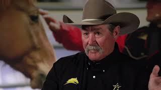 PAT PARELLI ON THE OLD WAY OF HORSE TRAINING | Road to the Horse 2022