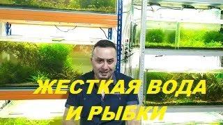 О жесткой воде и аквариумных рыбках