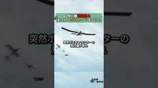 飛行機戦闘祭り、まさかのボスレイドまで？！